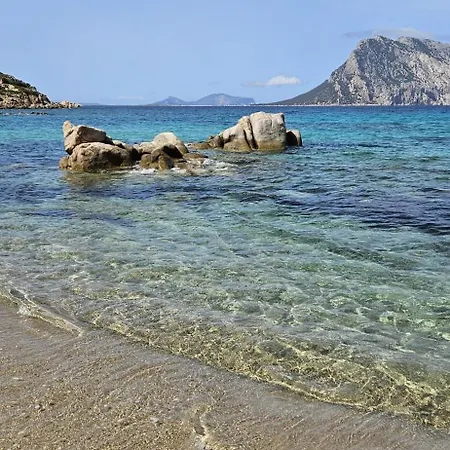Campingplads Residenze Coda Cavallo - Cala Cavallo Punta Molara